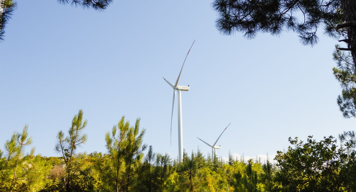 Quelles sont les 7 énergies renouvelables et comment les exploiter vraiment ?